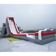 adult giant slides